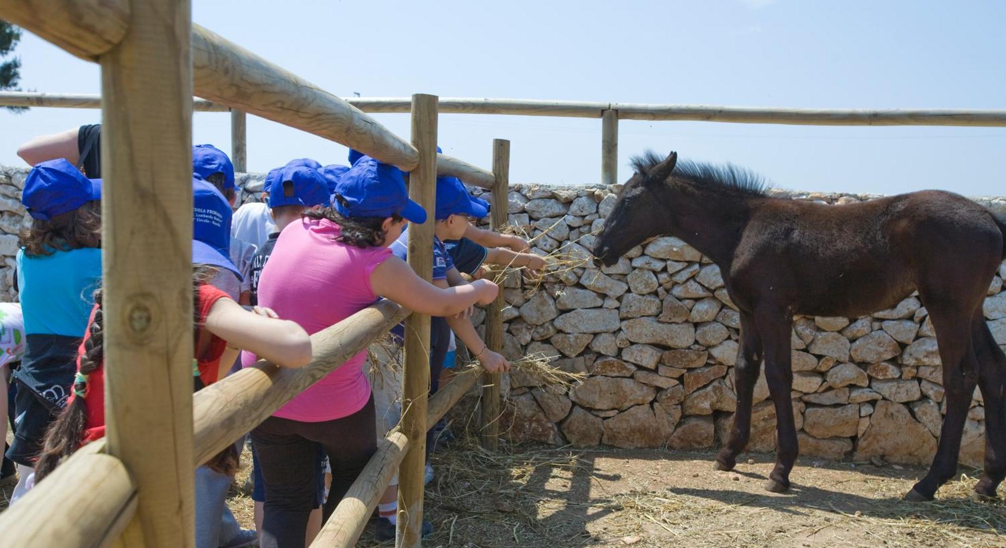 Agriturismo Scalelle Otranto Bagian luar foto