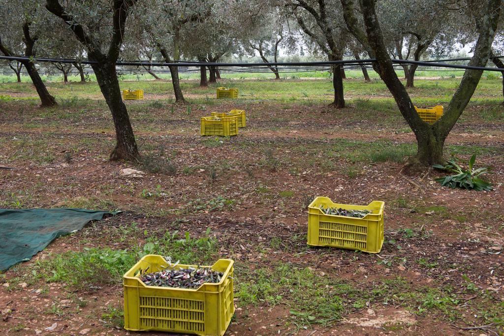 Agriturismo Scalelle Otranto Bagian luar foto